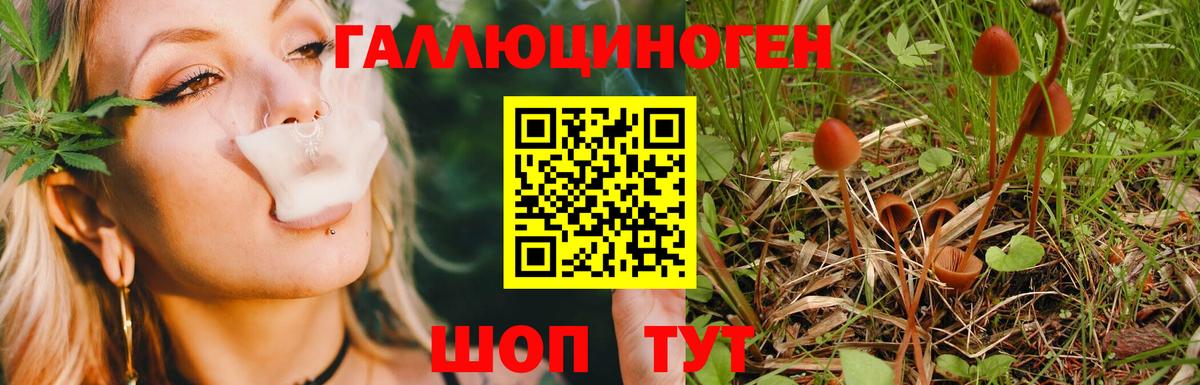 Галлюциногенные грибы Psilocybine cubensis  купить наркотик  Энгельс  Вход с VPN 